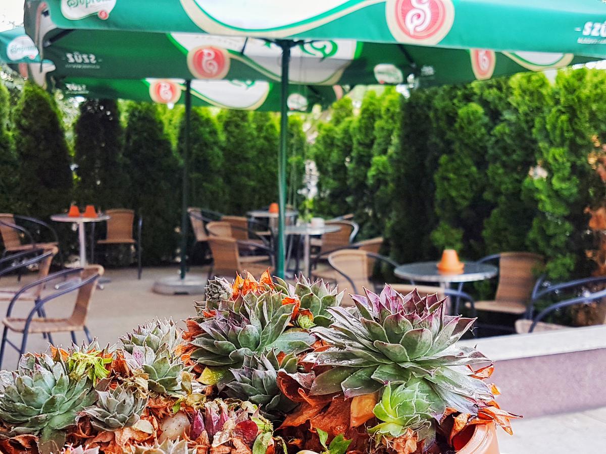 Hotel Pest Inn بودابست المظهر الخارجي الصورة